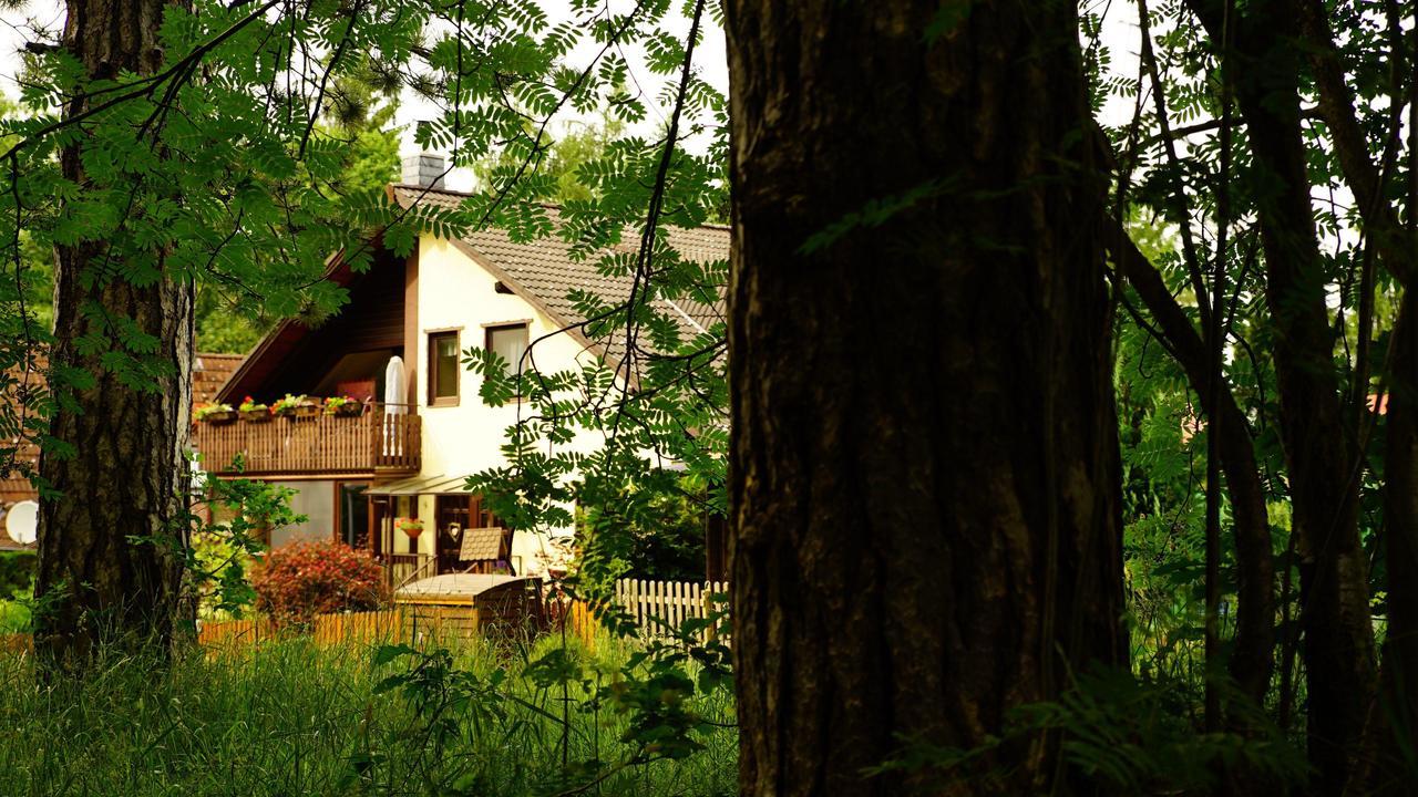 Ferienwohnung Im Wald Mit Kamin Bad Harzburg Exterior photo